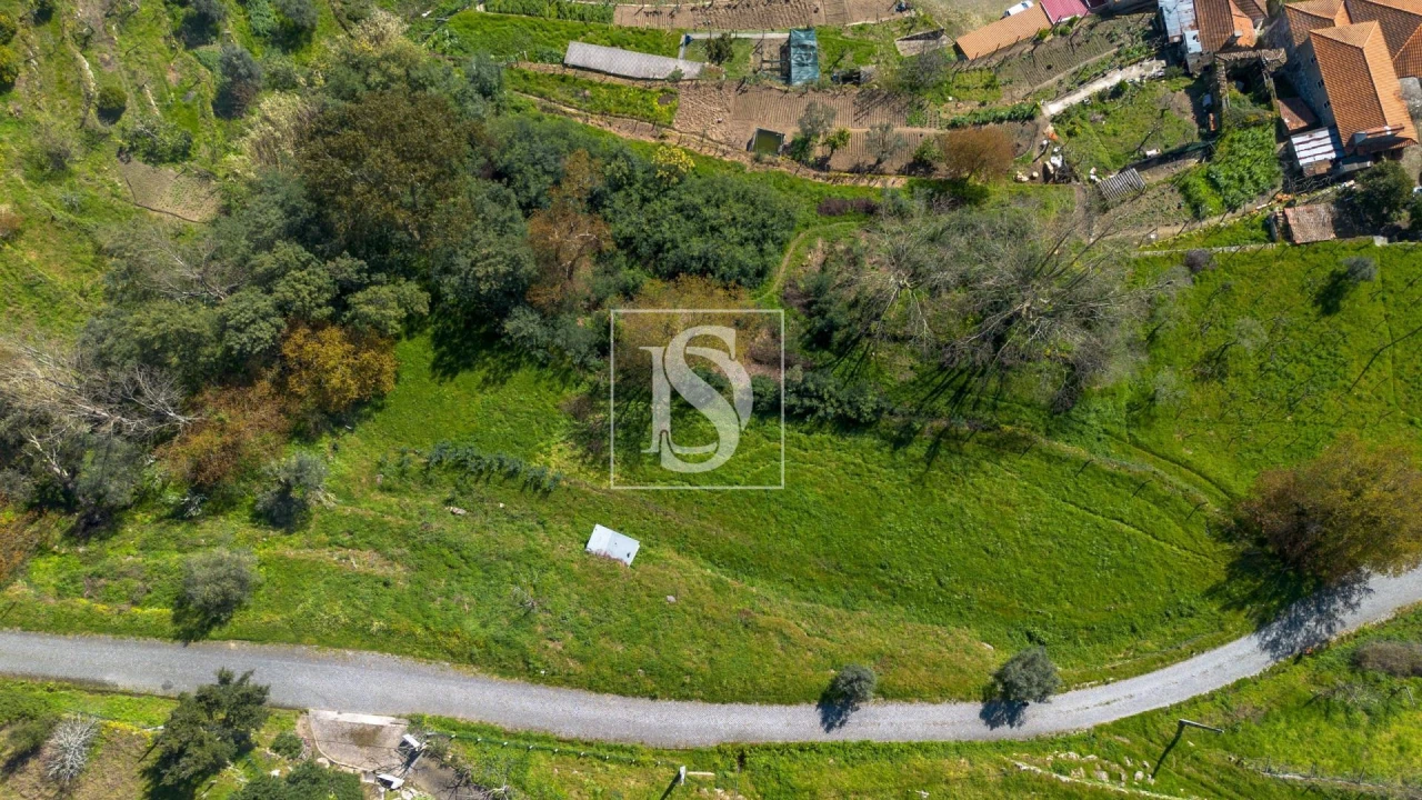 Terreno Agricola ou Rústico para Venda em Ancede e Ribadouro Foto 9