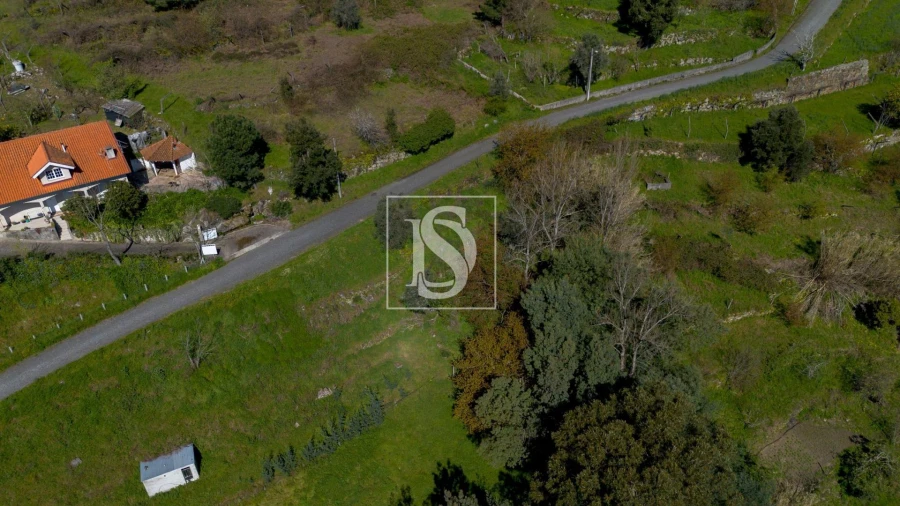 Terreno Agricola ou Rústico para Venda em Ancede e Ribadouro Foto 15