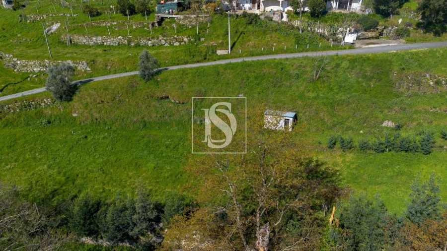 Terreno Agricola ou Rústico para Venda em Ancede e Ribadouro Foto 17
