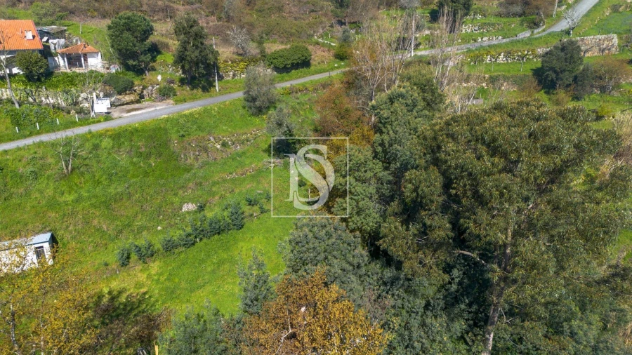 Terreno Agricola ou Rústico para Venda em Ancede e Ribadouro Foto 18