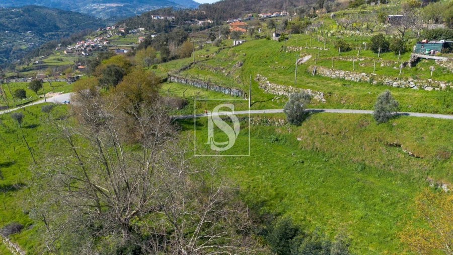 Terreno Agricola ou Rústico para Venda em Ancede e Ribadouro Foto 19