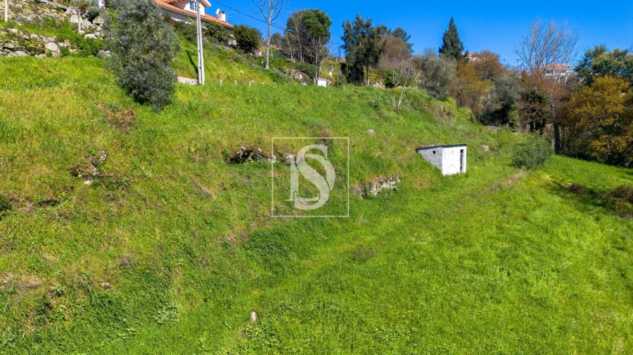 Terreno Agricola ou Rústico para Venda em Ancede e Ribadouro Foto 20