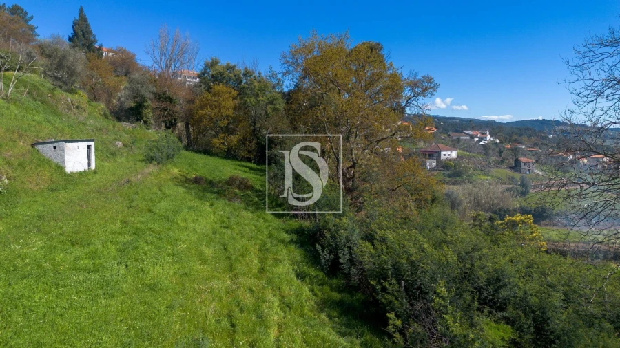 Terreno Agricola ou Rústico para Venda em Ancede e Ribadouro Foto 22