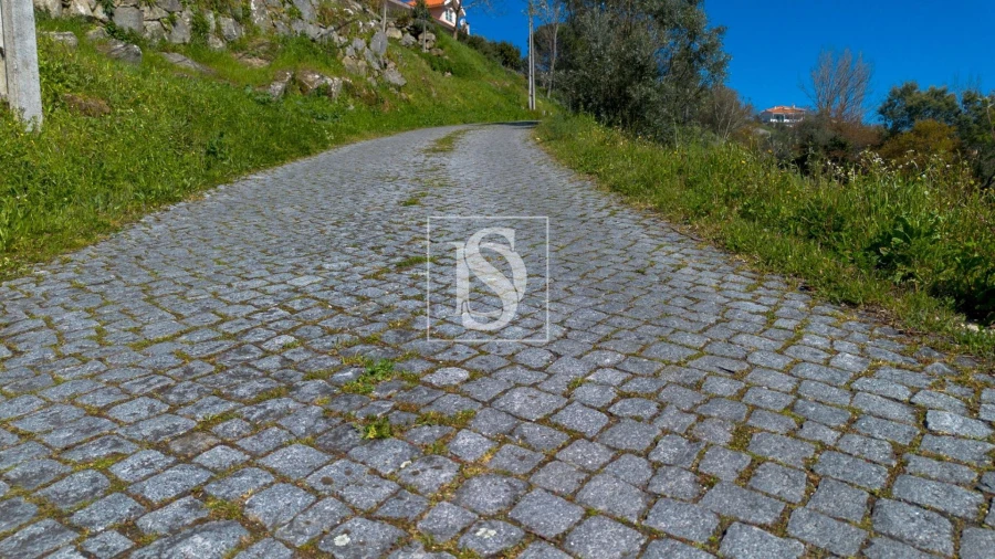 Terreno Agricola ou Rústico para Venda em Ancede e Ribadouro Foto 23