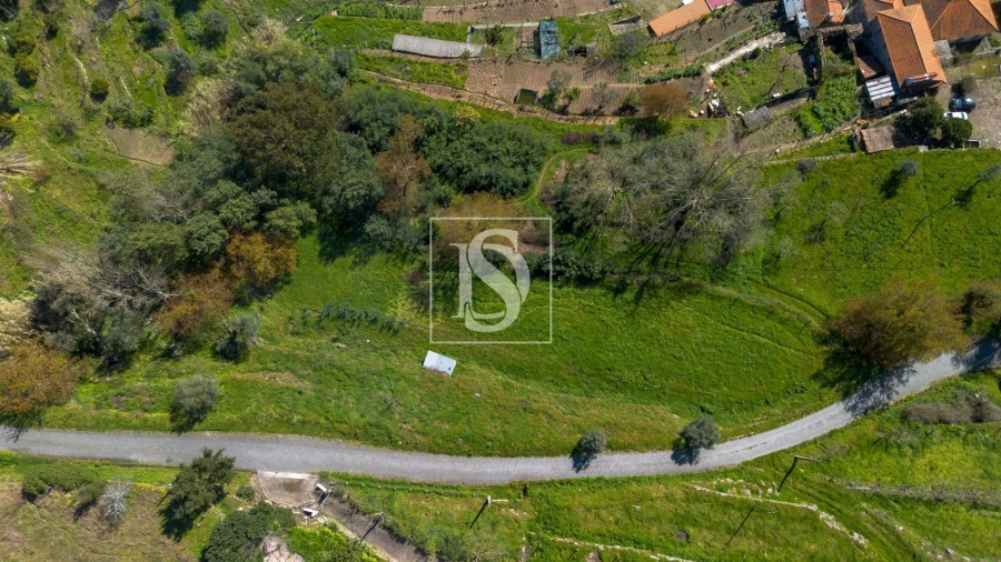 Terreno Agricola ou Rústico para Venda em Ancede e Ribadouro Foto 8