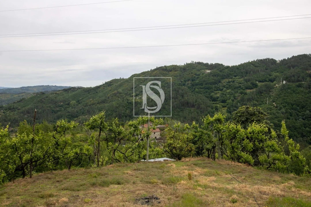 Moradia T2 para Venda em Amarante (São Gonçalo), Madalena, Cepelos e Gatão Foto 31