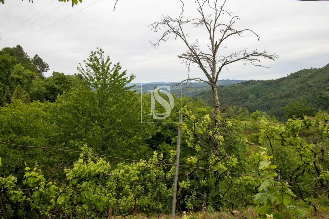 Moradia T2 para Venda em Amarante (São Gonçalo), Madalena, Cepelos e Gatão Foto 34