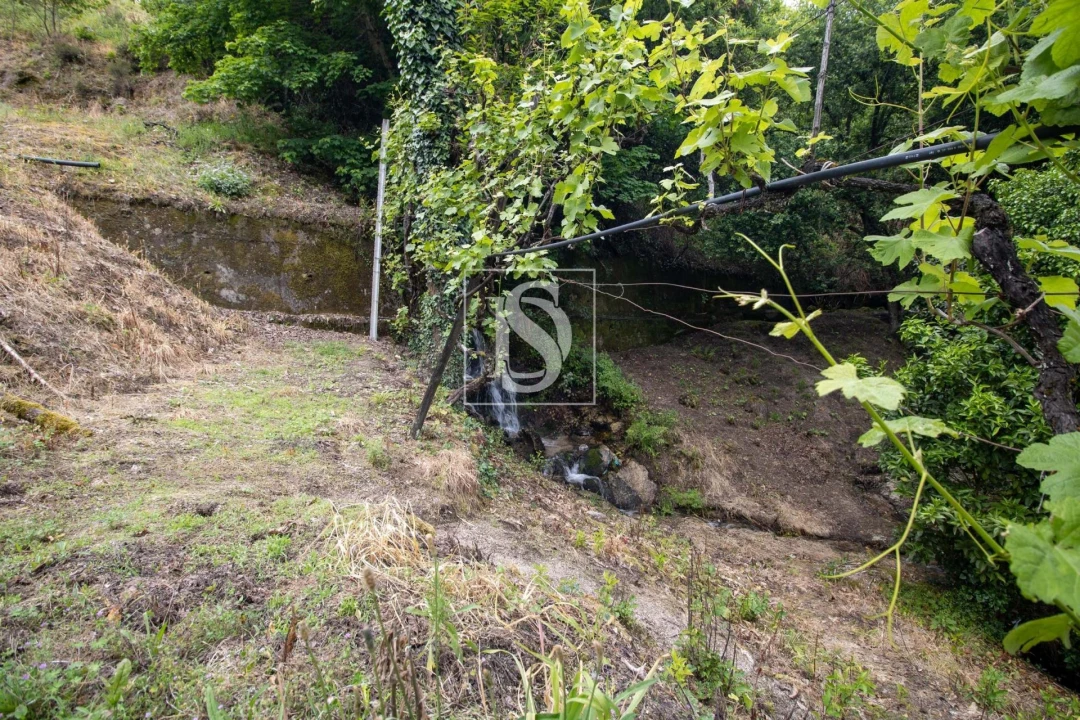 Moradia T2 para Venda em Amarante (São Gonçalo), Madalena, Cepelos e Gatão Foto 39