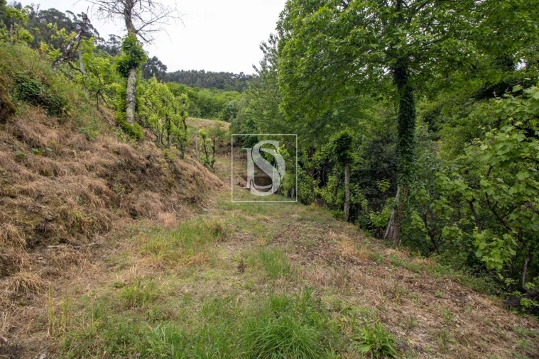 Moradia T2 para Venda em Amarante (São Gonçalo), Madalena, Cepelos e Gatão Foto 36