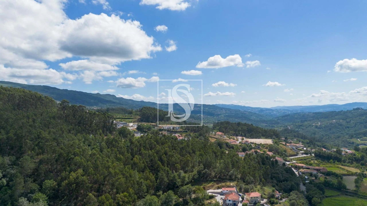 Terreno para Venda em Jazente Foto 13