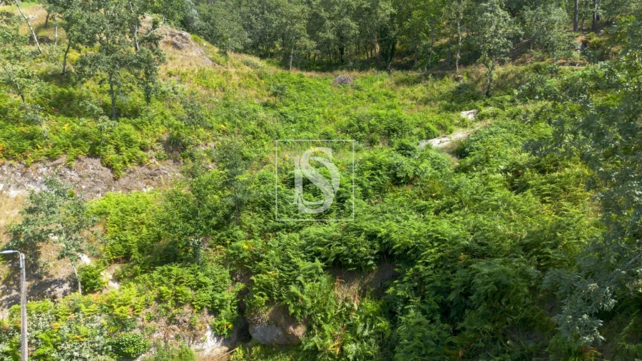 Terreno para Venda em Jazente Foto 19