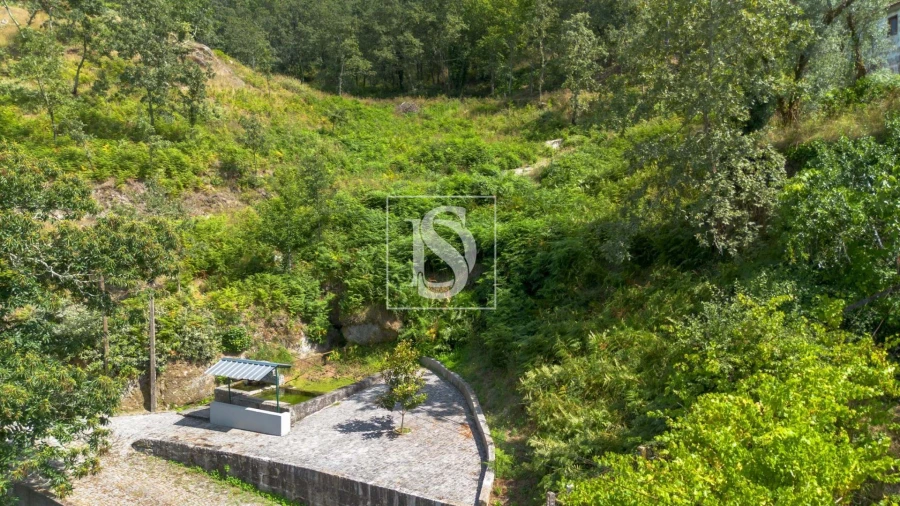 Terreno para Venda em Jazente Foto 4