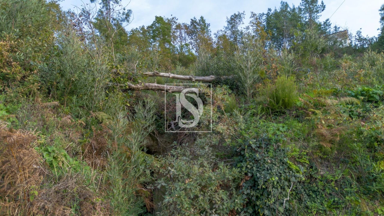 Terreno para Venda em Ansiães Foto 8