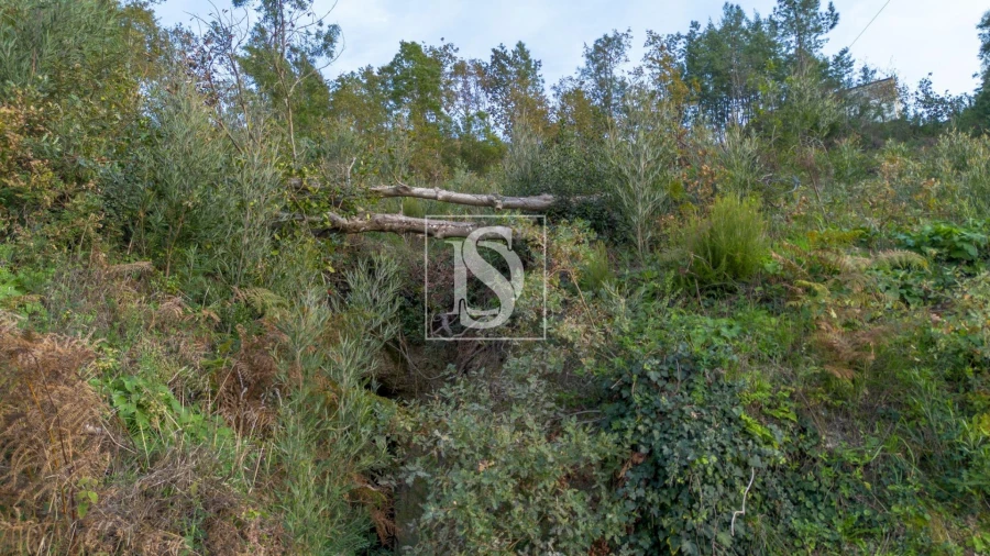 Terreno para Venda em Ansiães Foto 8