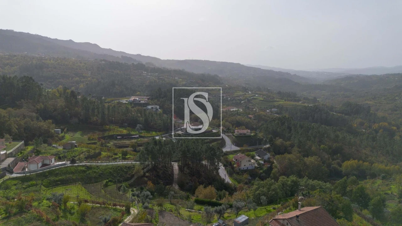 Terreno para Venda em Jazente Foto 10