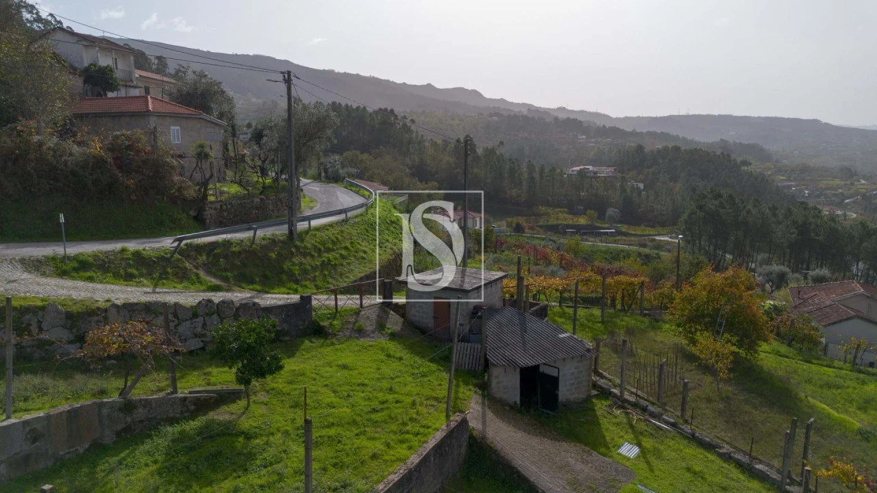Terreno para Venda em Jazente Foto 12