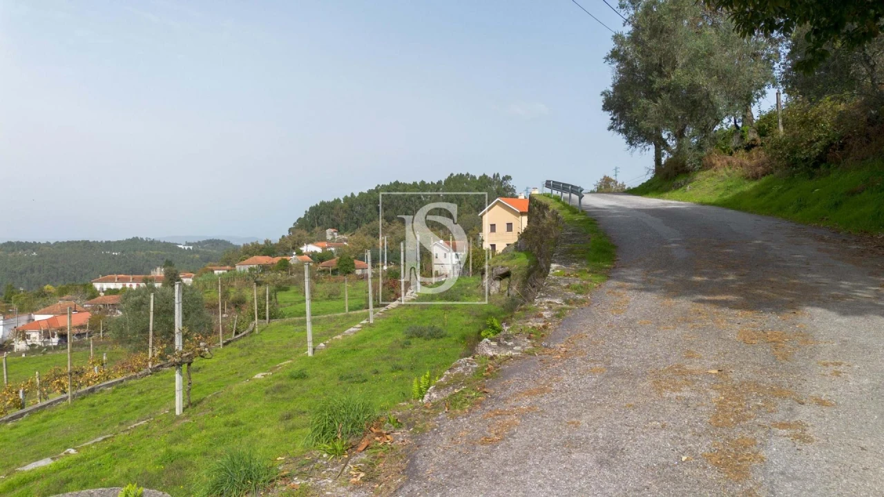 Terreno para Venda em Jazente Foto 4
