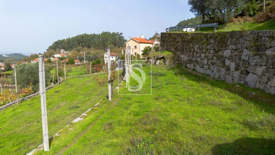 Terreno para Venda em Jazente Foto 14