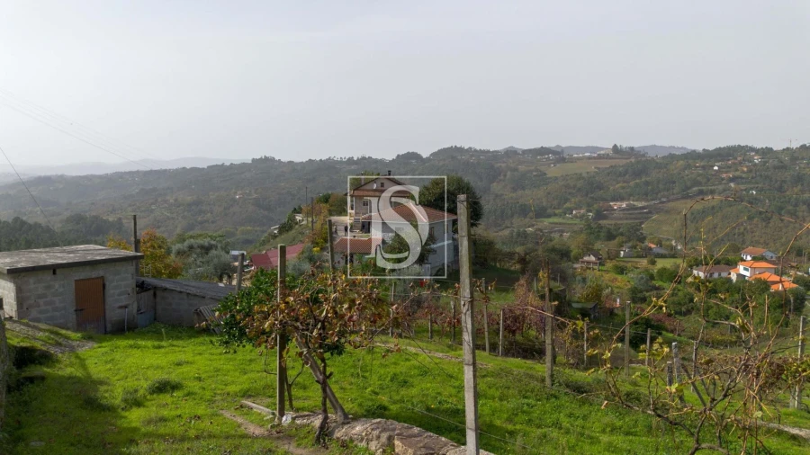 Terreno para Venda em Jazente Foto 17