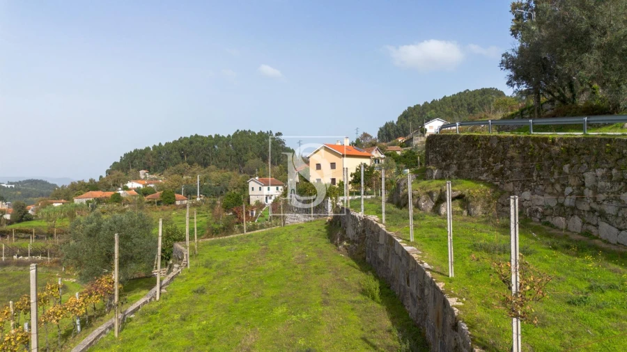 Terreno para Venda em Jazente Foto 18