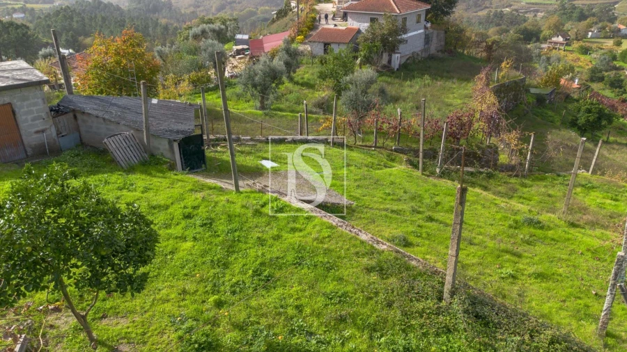 Terreno para Venda em Jazente Foto 19