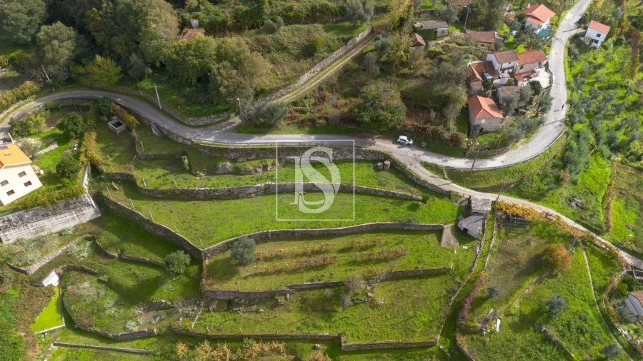 Terreno para Venda em Jazente Foto 8