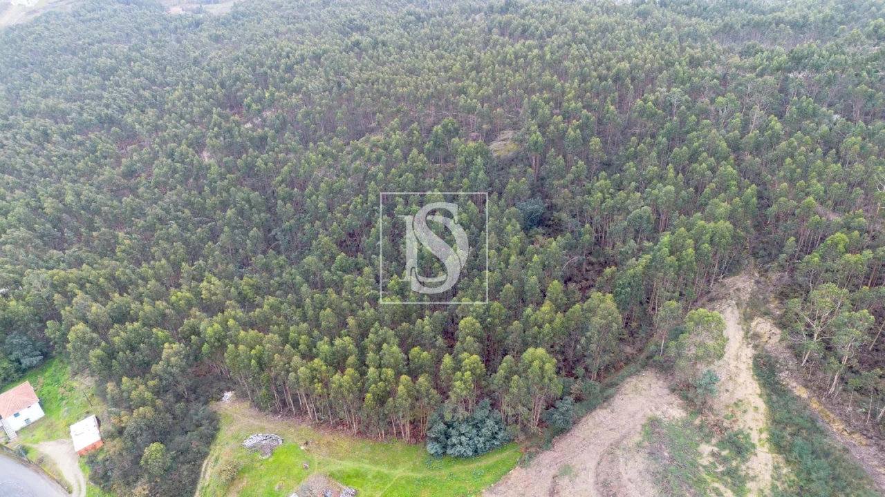 Terreno para Venda em Vandoma Foto 11