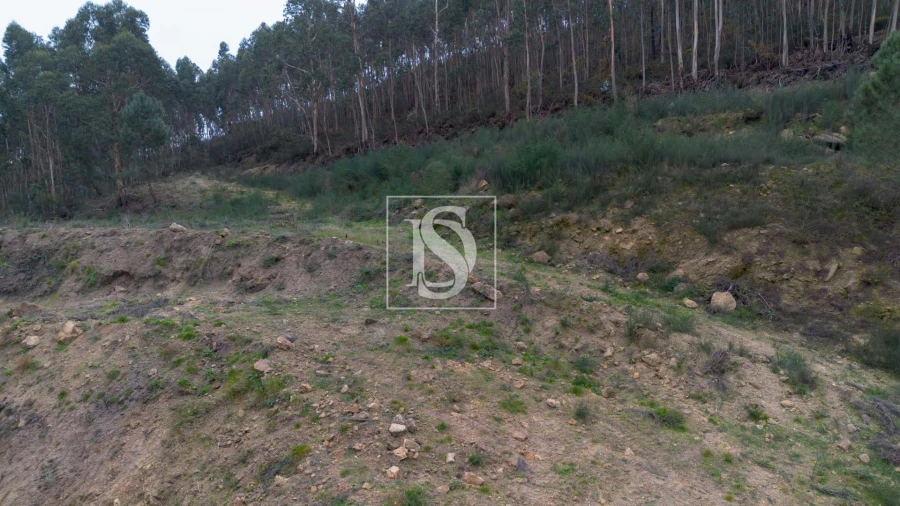 Terreno para Venda em Vandoma Foto 22