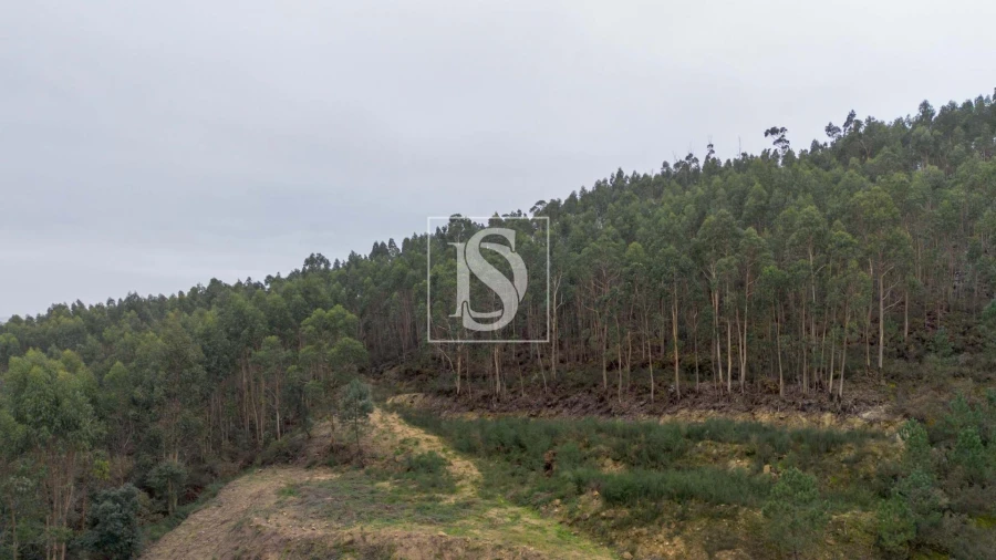 Terreno para Venda em Vandoma Foto 7