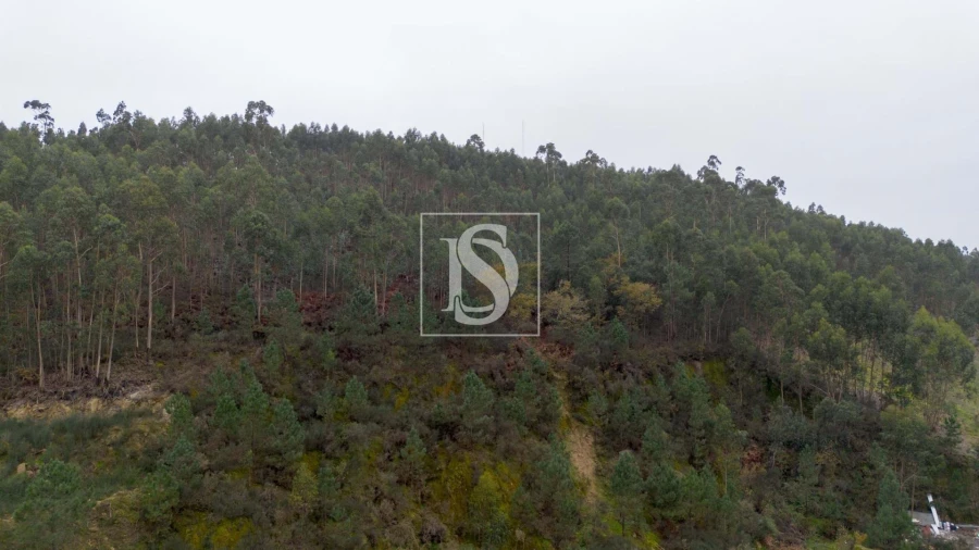 Terreno para Venda em Vandoma Foto 8