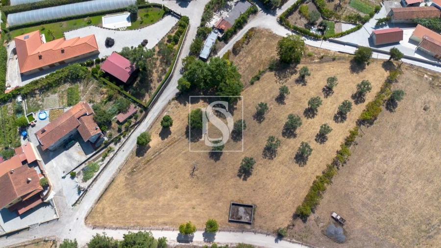 Terreno para Venda em Fregim Foto 5