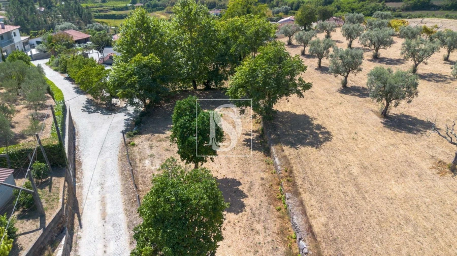 Terreno para Venda em Fregim Foto 6