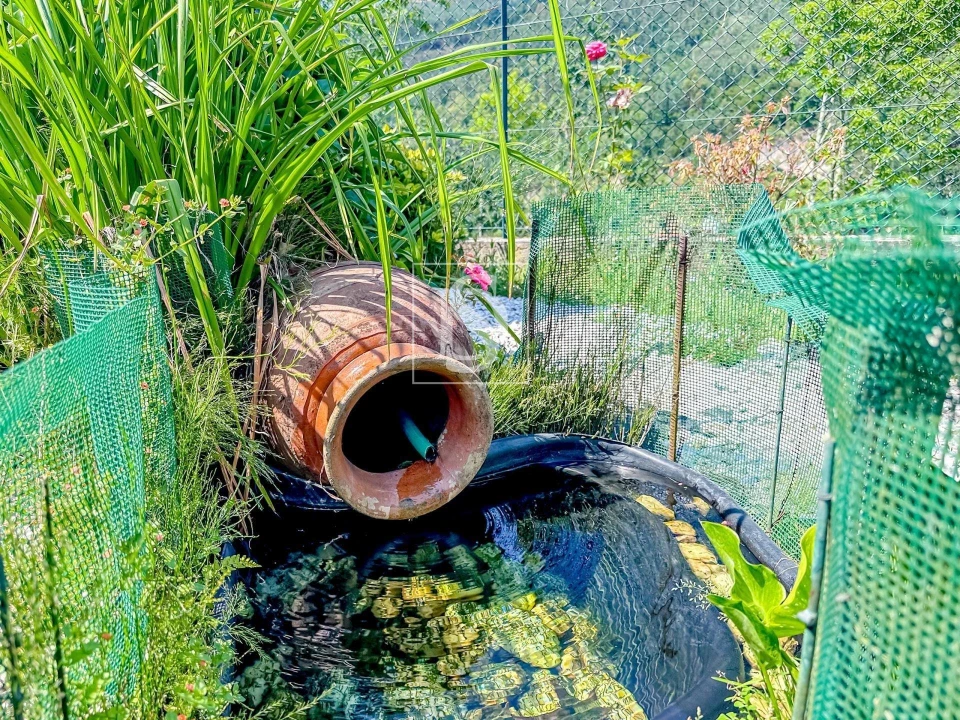 Moradia T2 para Venda em Olo e Canadelo Foto 20