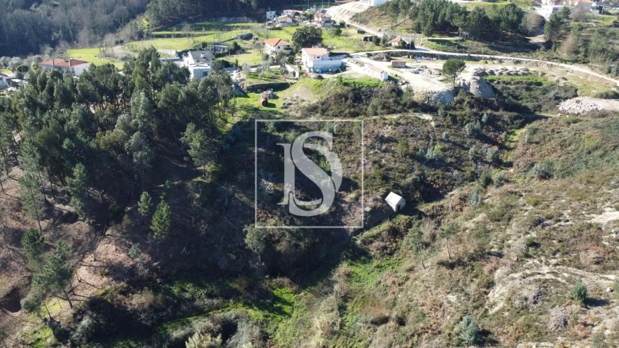 Terreno Agricola ou Rústico para Venda em Fregim Foto 17