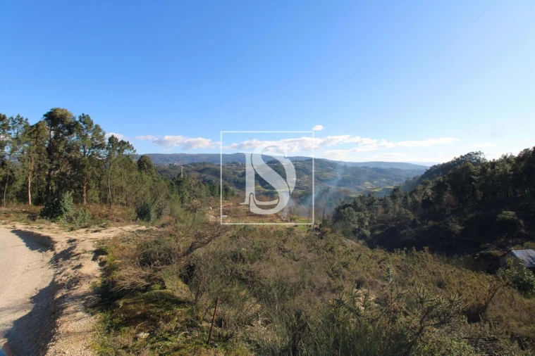 Terreno Agricola ou Rústico para Venda em Fregim Foto 5