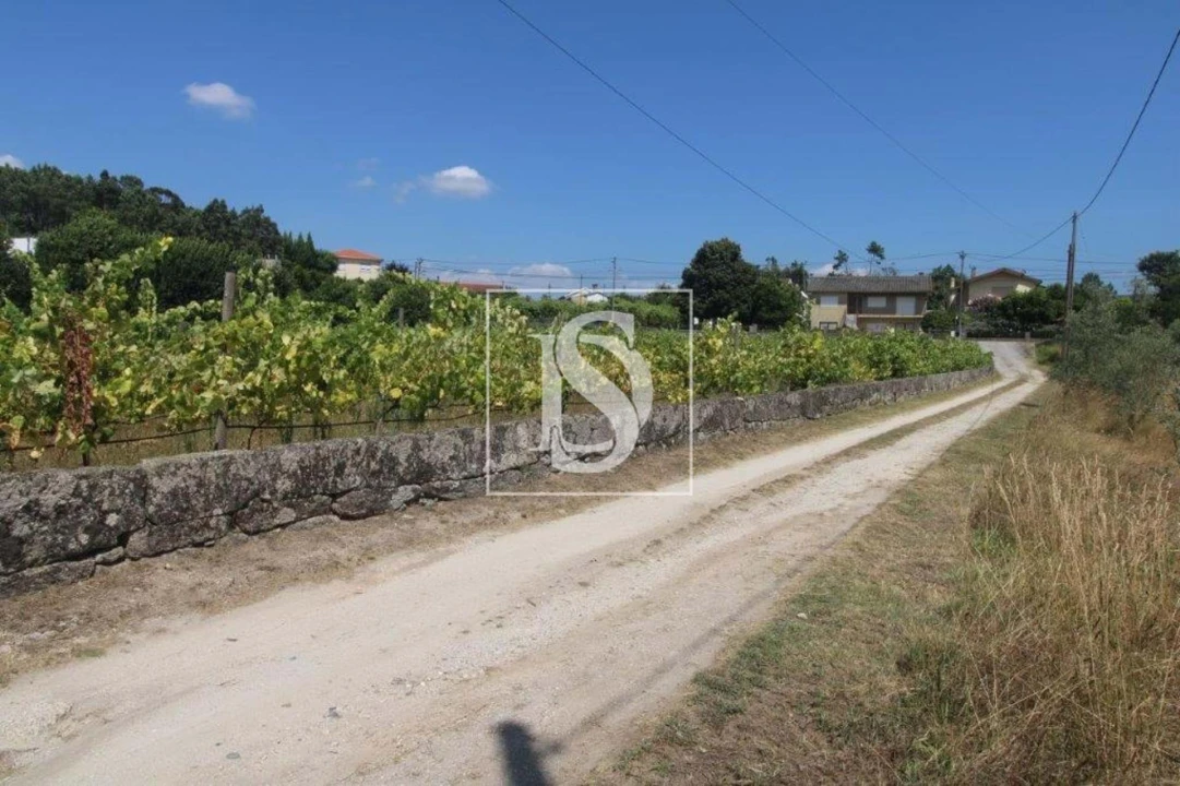 Terreno Agricola ou Rústico para Venda em Salvador do Monte Foto 10