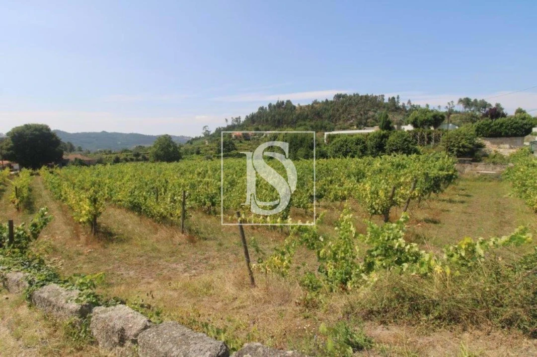 Terreno Agricola ou Rústico para Venda em Salvador do Monte Foto 3