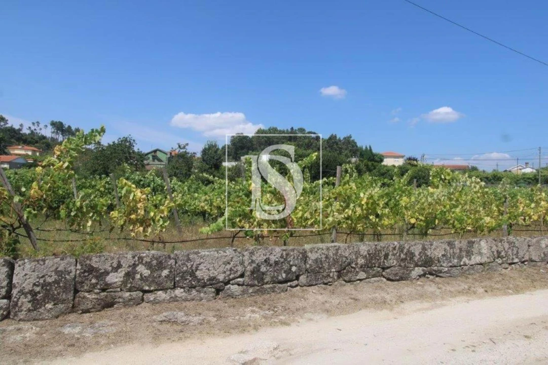 Terreno Agricola ou Rústico para Venda em Salvador do Monte Foto 9