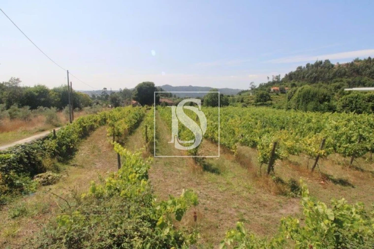 Terreno Agricola ou Rústico para Venda em Salvador do Monte Foto 4