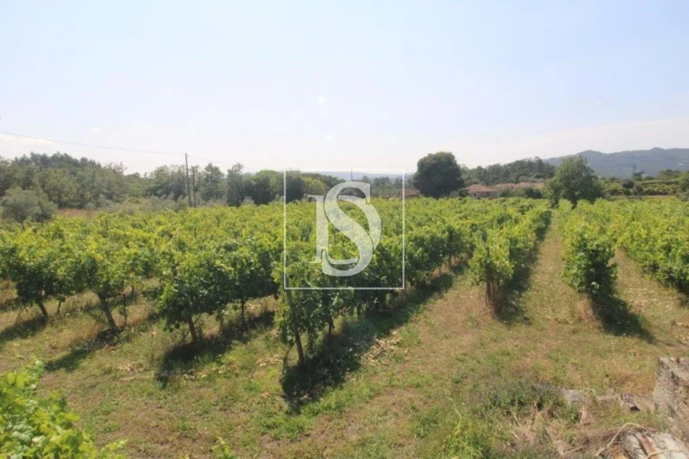 Terreno Agricola ou Rústico para Venda em Salvador do Monte Foto 6