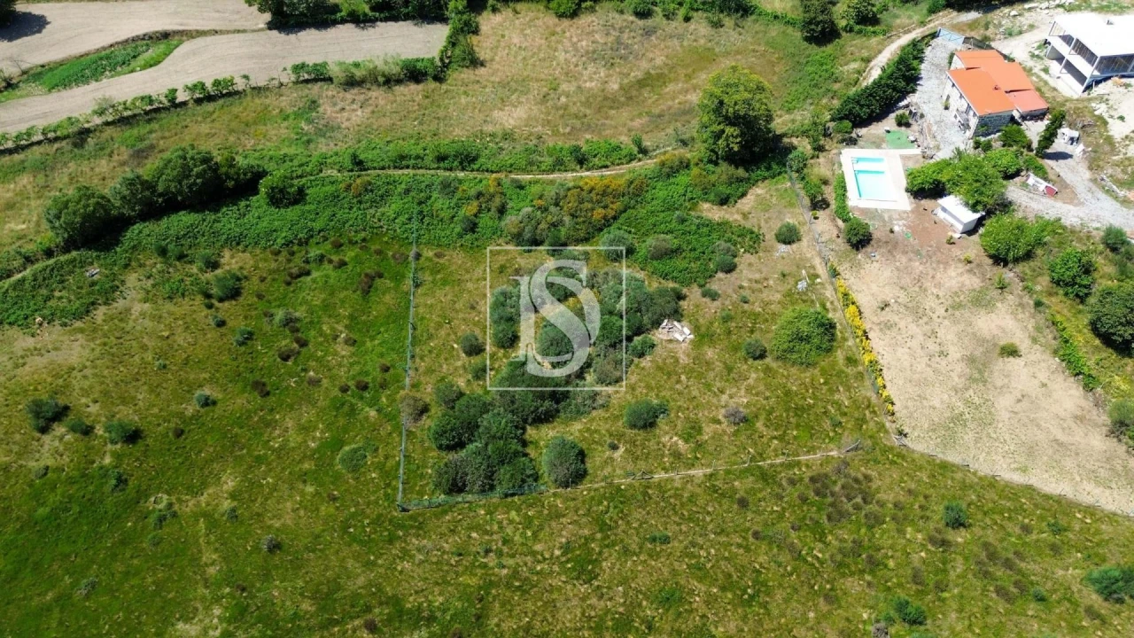 Terreno Agricola ou Rústico para Venda em Soalhães Foto 4
