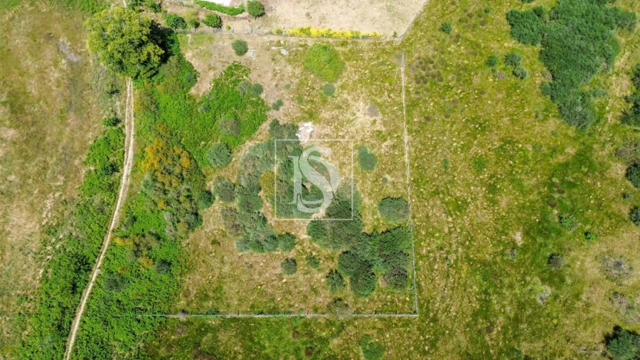 Terreno Agricola ou Rústico para Venda em Soalhães Foto 6