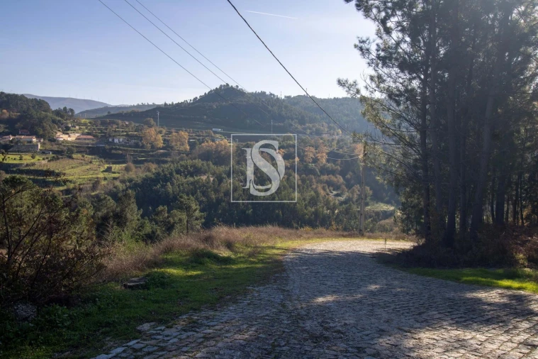 Terreno Agricola ou Rústico para Venda em Gondar Foto 23