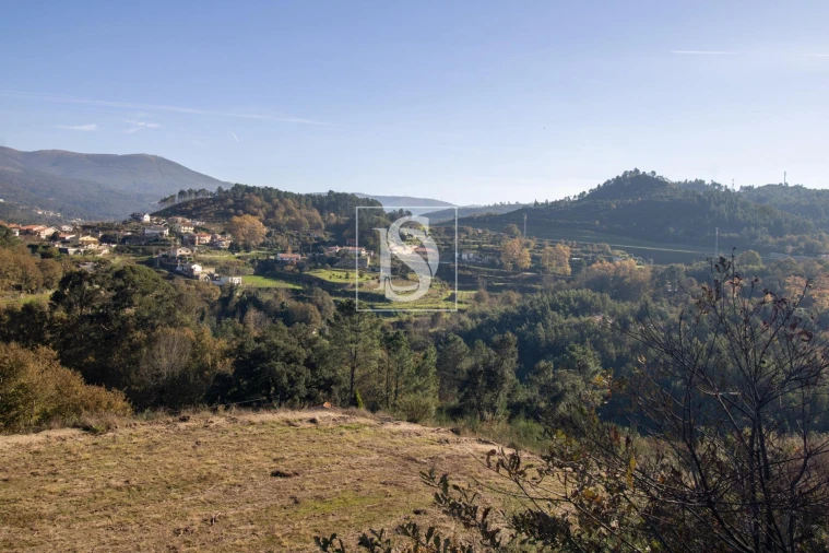 Terreno Agricola ou Rústico para Venda em Gondar Foto 25