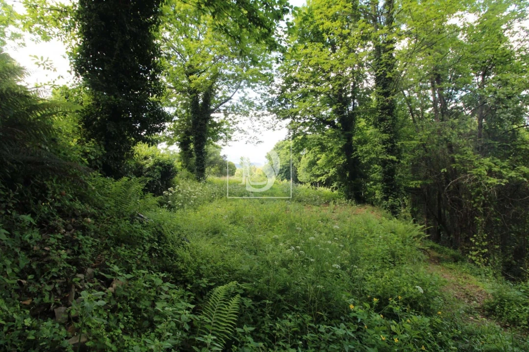 Moradia T2 para Venda em Rebordelo Foto 17