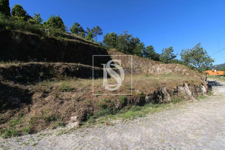 Terreno Agricola ou Rústico para Venda em Amarante (São Gonçalo), Madalena, Cepelos e Gatão Foto 4