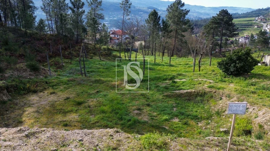 Terreno Agricola ou Rústico para Venda em Amarante (São Gonçalo), Madalena, Cepelos e Gatão Foto 2