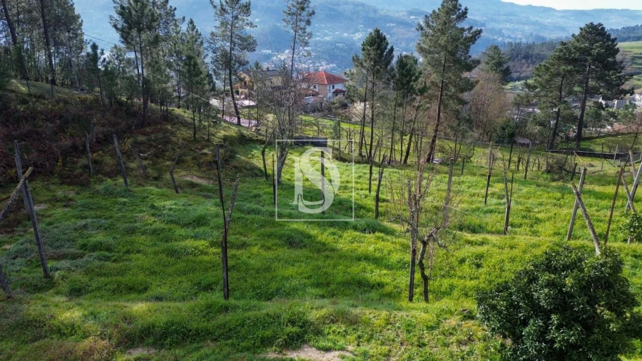 Terreno Agricola ou Rústico para Venda em Amarante (São Gonçalo), Madalena, Cepelos e Gatão Foto 5