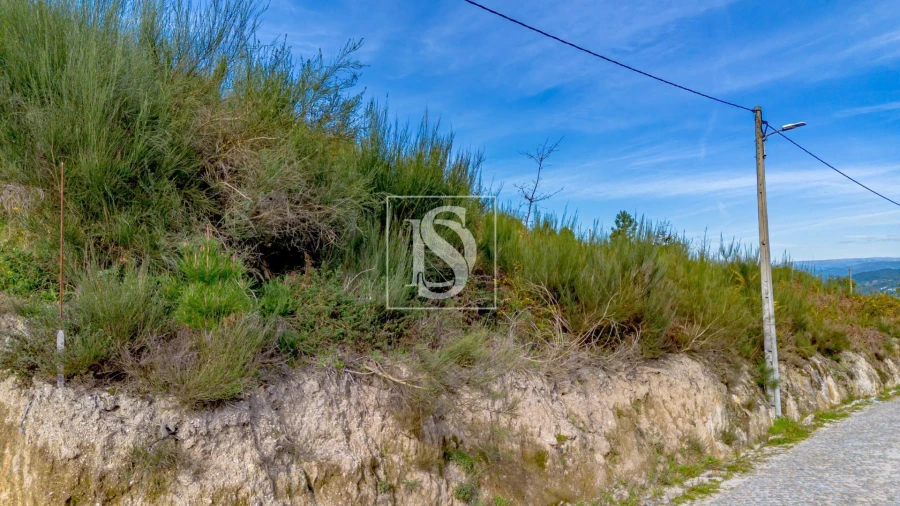 Terreno para Venda em Fregim Foto 6