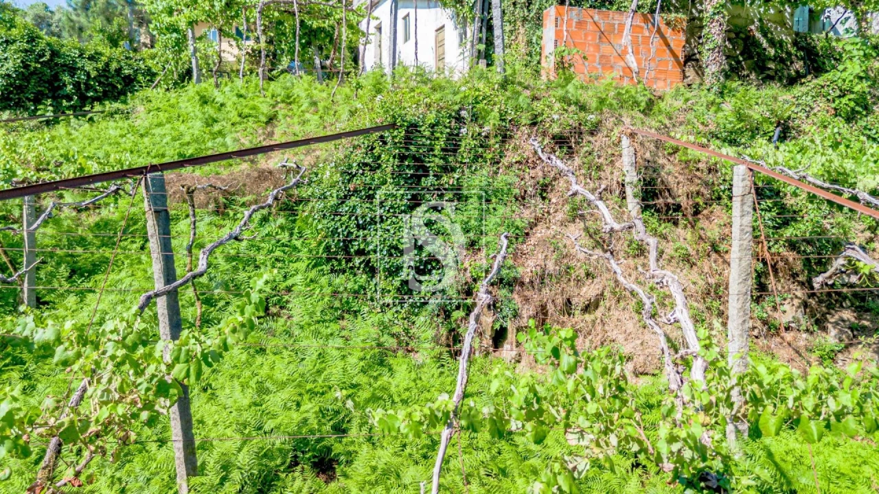 Moradia T3 para Venda em Amarante (São Gonçalo), Madalena, Cepelos e Gatão Foto 43